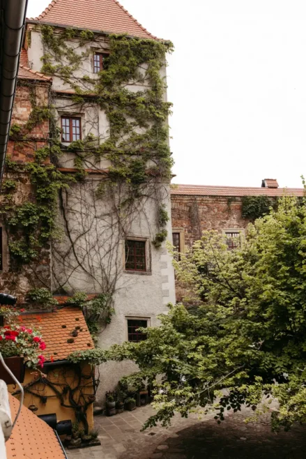 Ein hohes, altes Steingebäude mit Efeu an den Wänden steht neben einem grünen Baum in einem ruhigen Innenhof unter einem bewölkten Himmel. Mehrere Fenster und ein rotes Ziegeldach sind zu sehen.