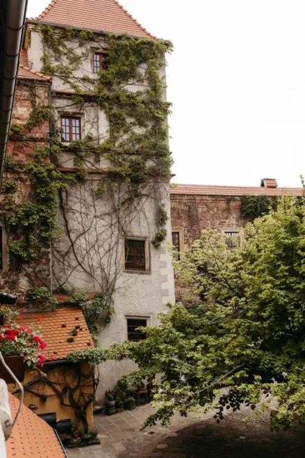 Ein hohes, altes Steingebäude mit Efeu an den Wänden steht neben einem grünen Baum in einem ruhigen Innenhof unter einem bewölkten Himmel. Mehrere Fenster und ein rotes Ziegeldach sind zu sehen.