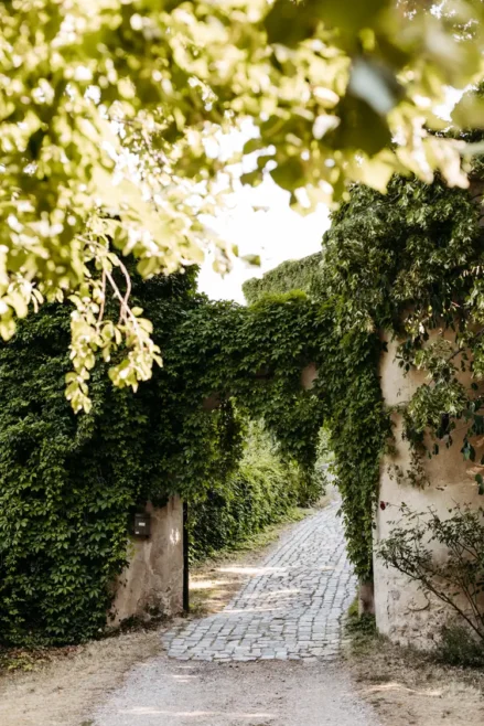 Ein kopfsteingepflasterter Weg führt durch einen alten steinernen Torbogen, der mit üppig grünem Efeu bewachsen ist, während das Sonnenlicht durch die blattreichen Äste darüber fällt.