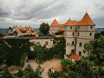 Luftaufnahme eines historischen Schlosses mit efeubewachsenen Steinmauern und orangefarbenen Ziegeldächern unter einem bewölkten Himmel, umgeben von Grün und Bäumen.