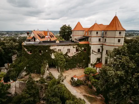 Luftaufnahme eines alten Schlosses mit roten Ziegeldächern und efeubewachsenen Steinmauern, umgeben von dichten grünen Bäumen unter einem bewölkten Himmel.