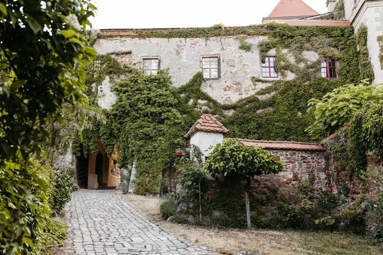 Ein kopfsteingepflasterter Weg führt zu einem alten, mit grünem Efeu bewachsenen Steingebäude mit rot gerahmten Fenstern und einem kleinen bogenförmigen Eingang. Eine niedrige Steinmauer mit einem Ziegeldach und üppiges Grün umgeben den Eingang.