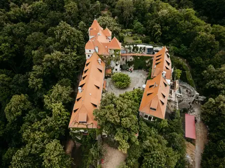 Luftaufnahme eines historischen Gebäudes mit orangefarbenen Ziegeldächern und mehreren Türmen, umgeben von dichten grünen Bäumen und Wald.
