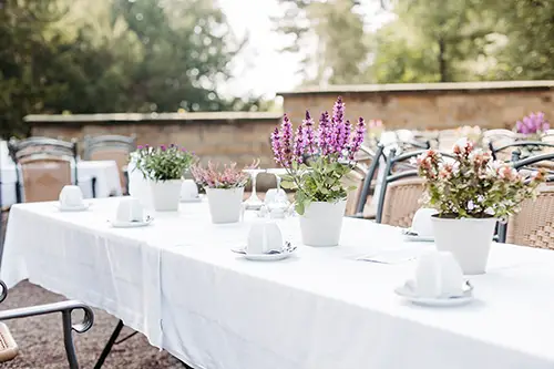 Ein Outdoor-Dinner für eine Hochzeit in Marcolinis Welt mit einem langen, weiß gedeckten Tisch. Der Tisch ist mit weißen Topfpflanzen geschmückt und von Korbstühlen umgeben. Im Hintergrund runden eine Steinmauer und verschwommene Bäume die bezaubernde Szene ab.