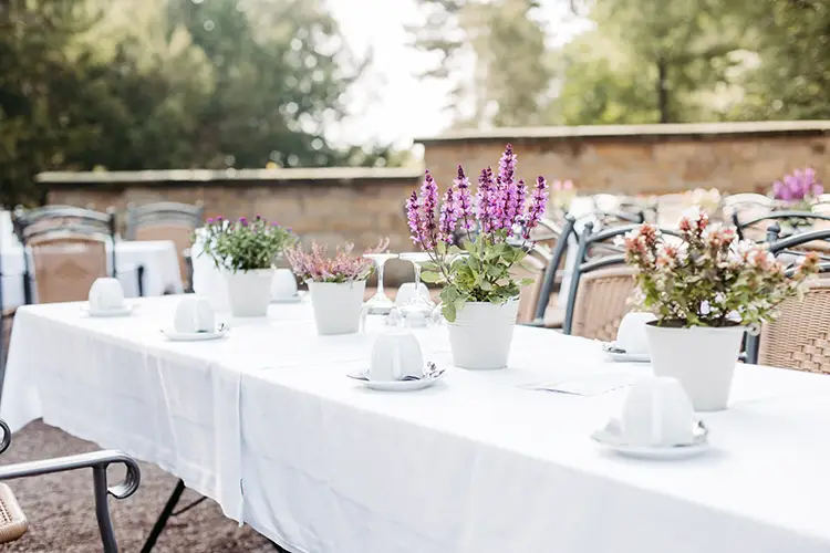 Ein Outdoor-Dinner für eine Hochzeit in Marcolinis Welt mit einem langen, weiß gedeckten Tisch. Der Tisch ist mit weißen Topfpflanzen geschmückt und von Korbstühlen umgeben. Im Hintergrund runden eine Steinmauer und verschwommene Bäume die bezaubernde Szene ab.