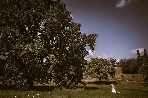 Ein Paar in Hochzeitskleidung steht unter einem großen, belaubten Baum auf einer weiten Wiese, die an die bezaubernde Landschaft nahe Schloss Albrechtsberg in Dresden erinnert. Der Himmel ist teilweise bewölkt und hat einen warmen Farbton. Im Hintergrund sind weitere Bäume zu sehen.