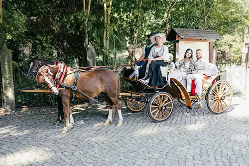 Eine Pferdekutsche mit zwei braunen Pferden fährt auf einem Kopfsteinpflasterweg. Vier Personen in traditioneller Kleidung sitzen darin, umgeben von Grün und einem hölzernen Wegweiser. Wunderschön eingefangen von Melanie Kunert Fotografie, fängt es die Atmosphäre einer Hochzeit in Tharandt ein.