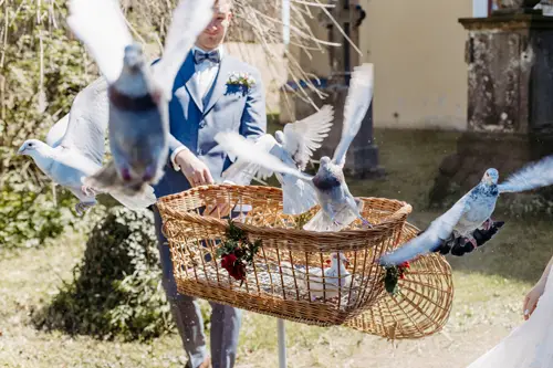 Eine Person in einem blauen Anzug lässt weiße Tauben aus einem Weidenkorb im Freien frei, wahrscheinlich während einer Feier oder Zeremonie. Die Tauben befinden sich mitten im Flug, im Hintergrund ist Grün zu sehen.